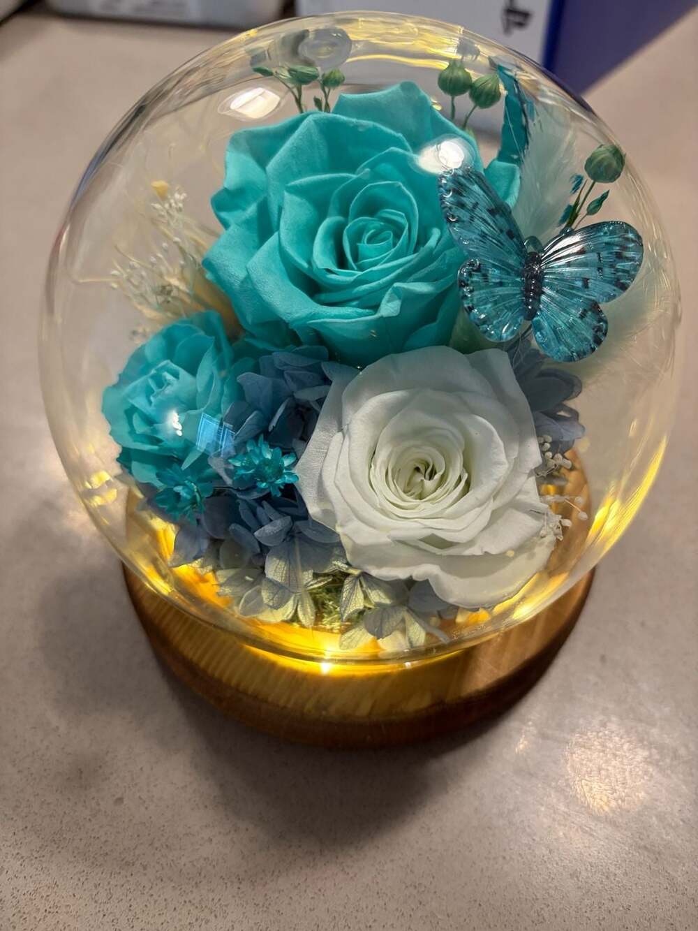 Preserved Rose in Glass Dome with LED Lights and Crystal Butterfly Blue